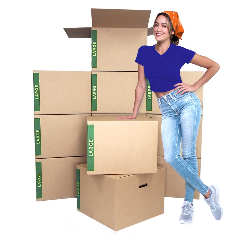 large moving boxes bundle of 12